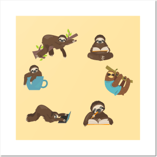 a Sloth Life Cycle Posters and Art